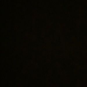 Meet your Posher, Claudia